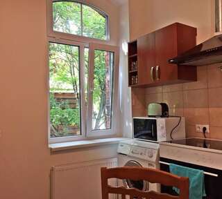 Апартаменты Apartment Under the Maple Клайпеда Апартаменты с видом на сад-24